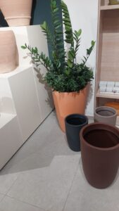 whatsapp image 2026 02 11 at 20.44.07