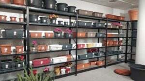 whatsapp image 2026 02 11 at 20.44.09