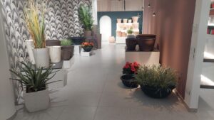 whatsapp image 2026 02 11 at 20.44.10