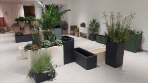 whatsapp image 2026 02 11 at 20.44.11 (2)