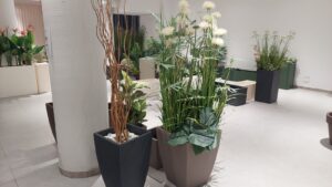 whatsapp image 2026 02 11 at 20.44.11