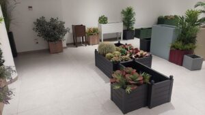 whatsapp image 2026 02 11 at 20.44.12 (1)