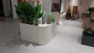 whatsapp image 2026 02 11 at 20.44.12