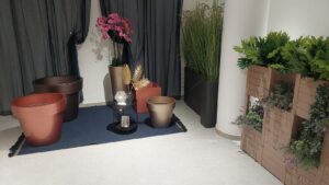 whatsapp image 2026 02 11 at 20.44.13